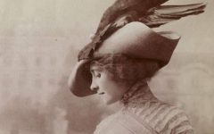 Catalina Bianchi: Zafírkönny II. rész – 5. fejezet