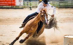 Nyírágóról is lehet valaki a közép-európai kupát elhódító, kétszeres szlovákiai bajnok