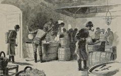 Az Ipoly menti borvidék hanyatlása