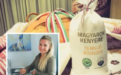 A Garam és az Ipoly mentén is gyűjtik a búzát a „Magyarok Kenyere – 15 millió búzaszem” elnevezésű programhoz