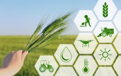 Suba Viktória: “A Falugazdász Program célja segítséget nyújtani a régió mezőgazdászainak”