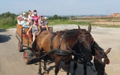 Lovastábor Ipolyságon