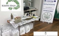 Kárpát-medencei ipari kendergazdaság projekt indul