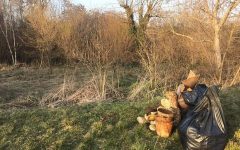 Nagyölvedi fiatalok példát mutatnak