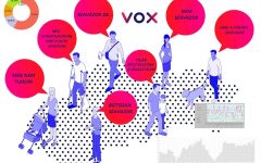 Vox Politico: 6% körül a „magyar párt”