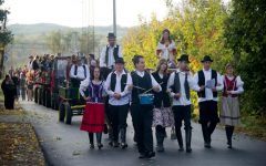 Gyümölcsészetből, helyi termékekből és ételekből építenek márkanevet Ipolyszakállos és Kóspallag között