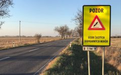 Felújul a Zselíz és Lekér közötti veszélyes útszakasz