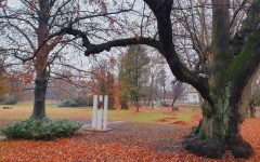 Huszonnégy év után visszatér a zselízi Esterházy parkba Franz Schubert mellszobra