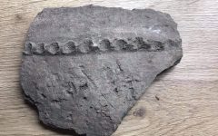 Több mint 4 ezer éves cserépdarab került elő Zselízen