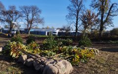 270 ezer euróból zöldül Zselíz