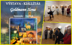 Goldmann Ilona kiállítása az ipolysági Simonyi Lajos Galériában
