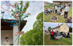 Kovászos kenyér, májusfa, szemétszedés és faültetés az ipolyviski Tájház tavaszi kapunyitásán