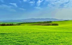 Börzsöny kisasszony tavaszi bája