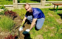 Petőfi körtefáit ültették el Zselízen