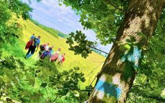 Honismereti túrát szerveztek Zselíznél a Garam menti hátságon